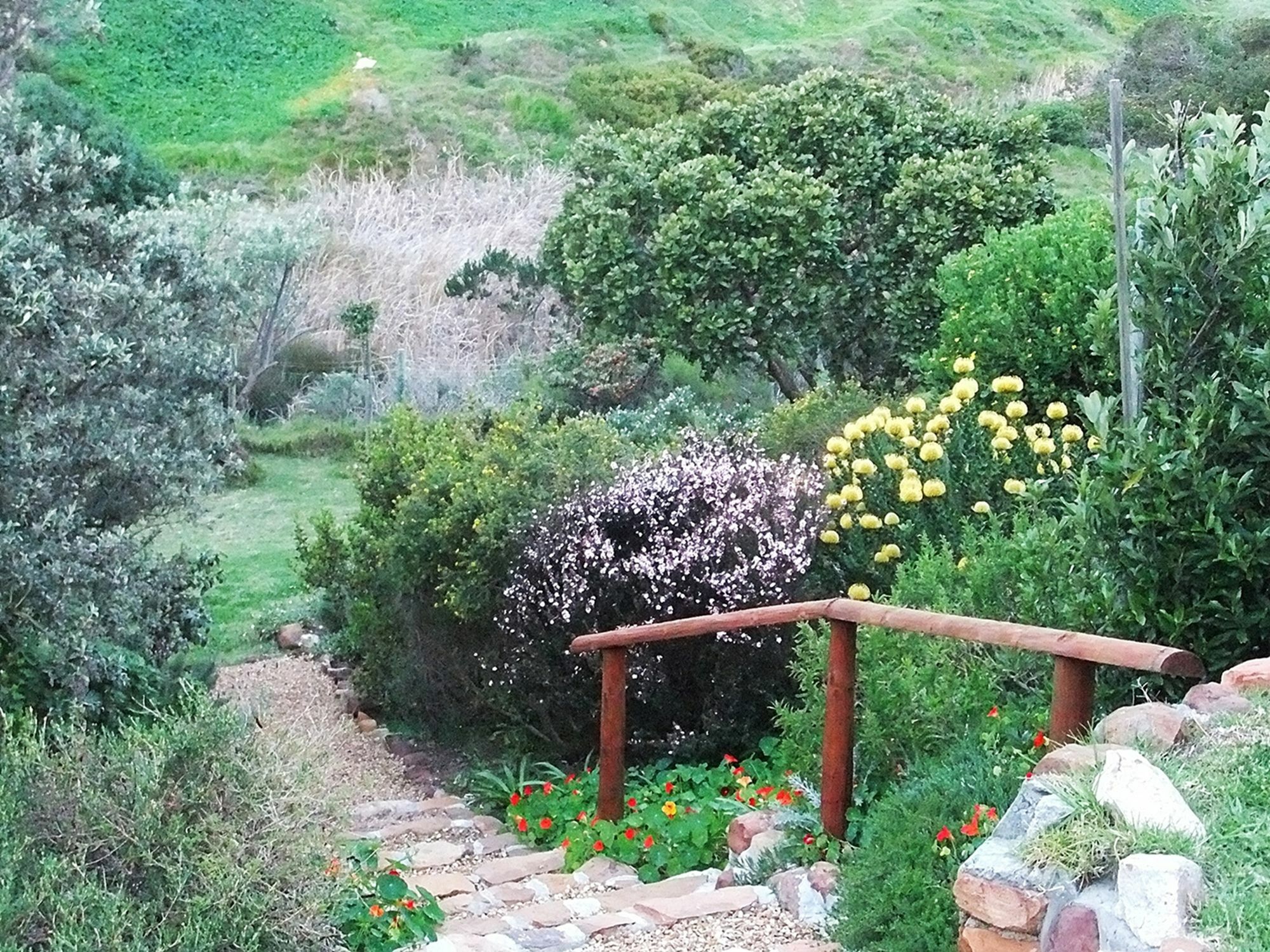 Makapa Lodge Kapstaden Eksteriør billede